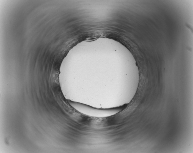 X0000099300096200805301142