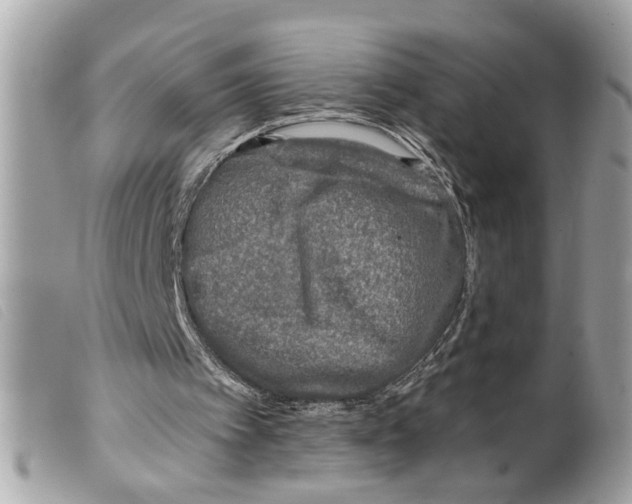 X0000099300097200805301141