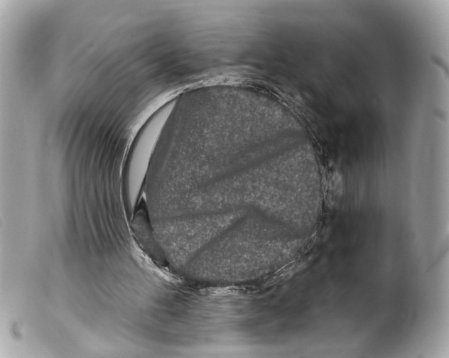 X0000099300100200805301141