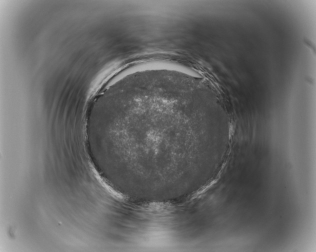 X0000099300101200805301141