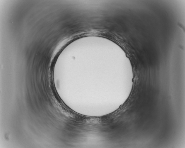 X0000099300102200805301141