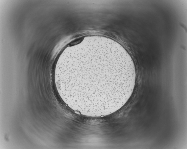 X0000099300103200805301141