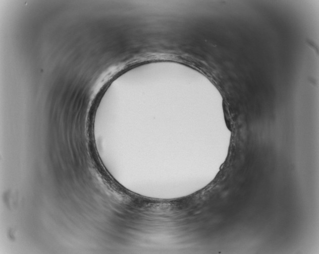 X0000099300104200805301141