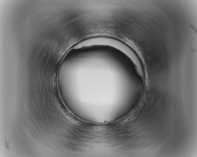 X0000099300105200805301141