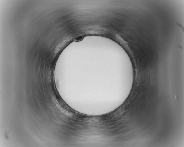 X0000099300106200805301141