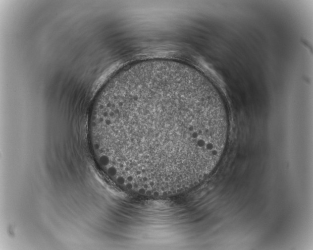 X0000099300107200805301141