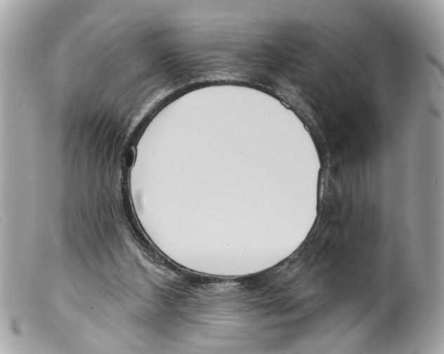 X0000099300108200805301141
