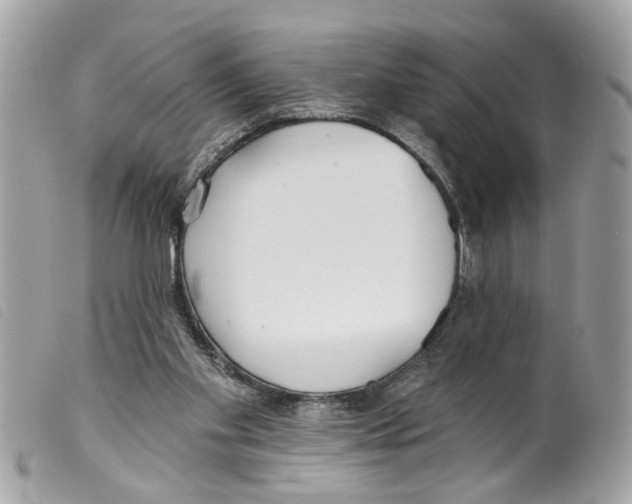 X0000099300109200805301141