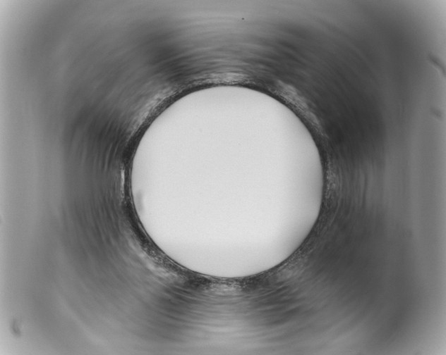 X0000099300110200805301141