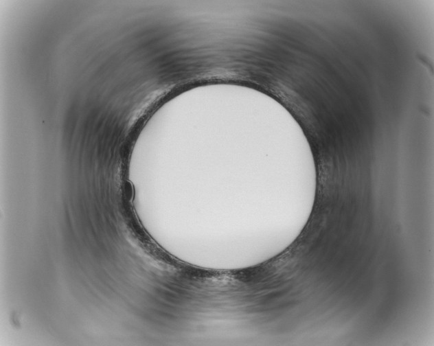 X0000099300112200805301141