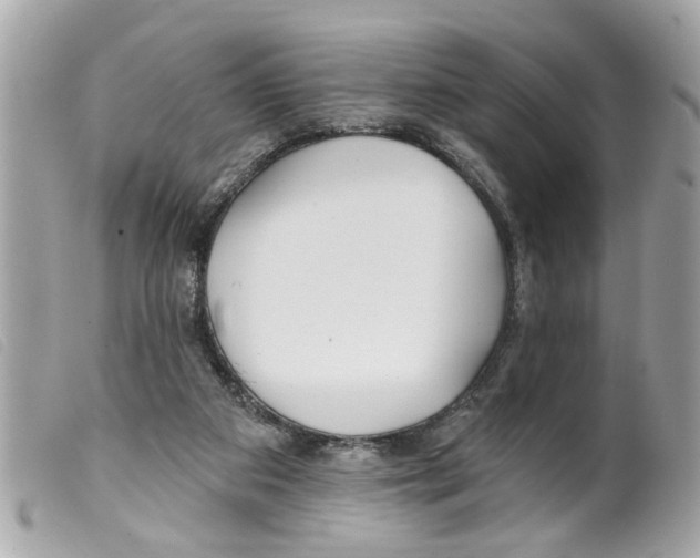 X0000099300113200805301141