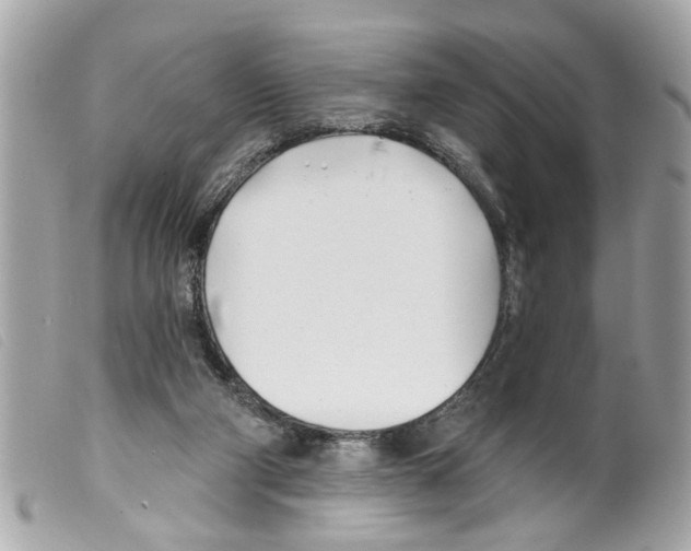 X0000099300114200805301141