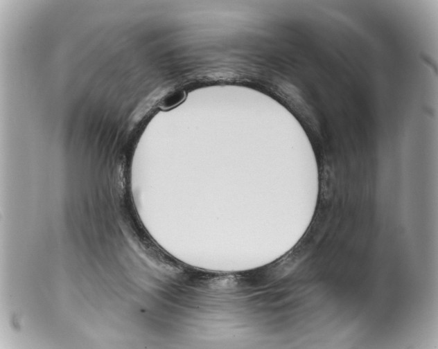 X0000099300116200805301141