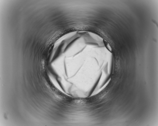 X0000099300117200805301141