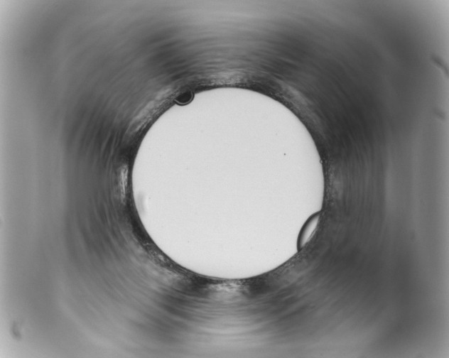 X0000099300118200805301141