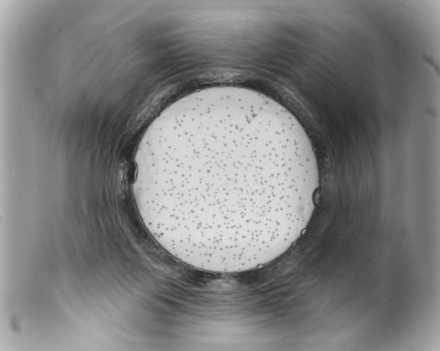 X0000099300119200805301141