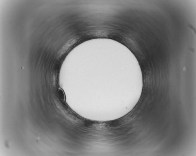 X0000099300120200805301141