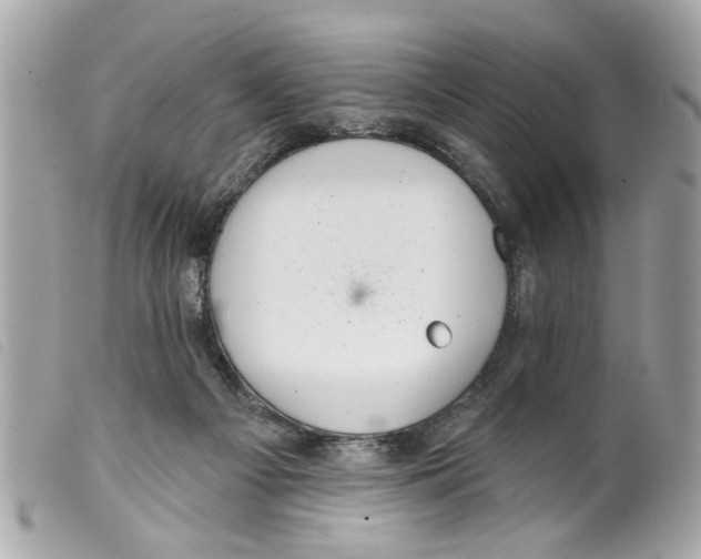 X0000099300121200805301141