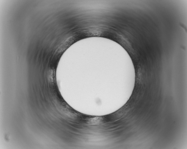 X0000099300122200805301141