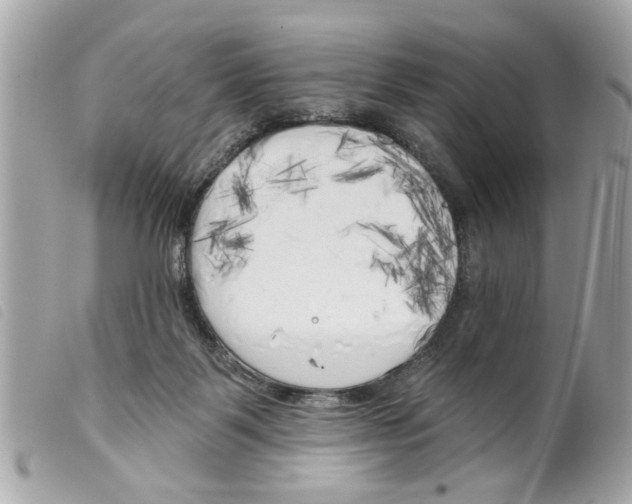 X0000099300123200805301141
