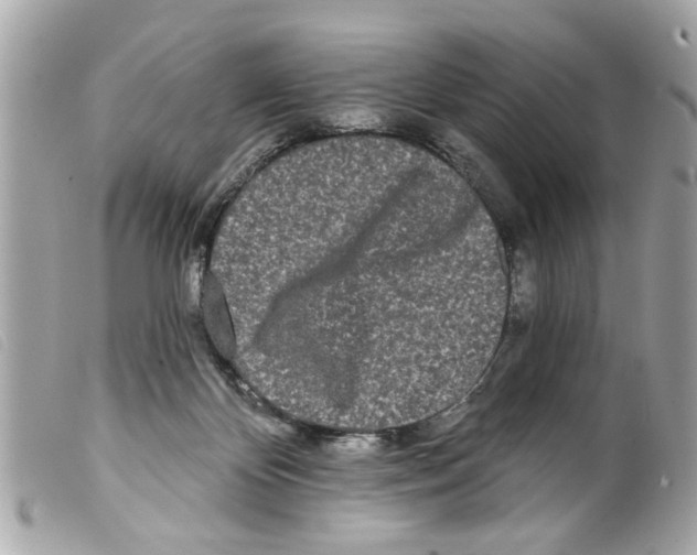 X0000099300124200805301141