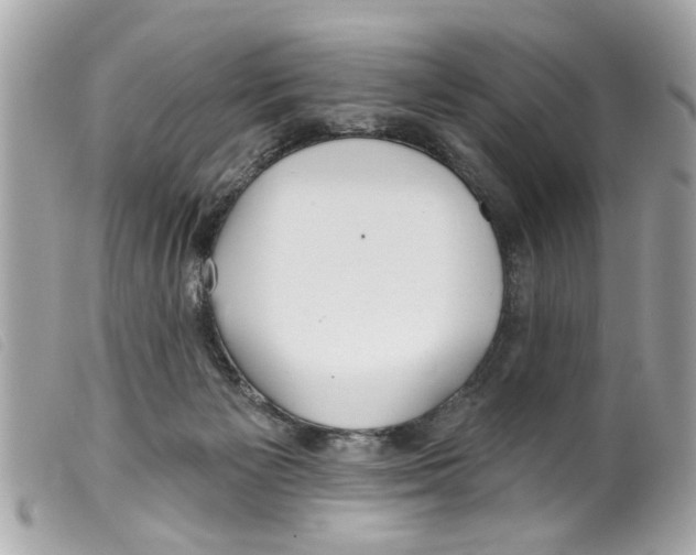 X0000099300125200805301141