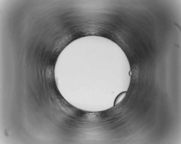 X0000099300126200805301141