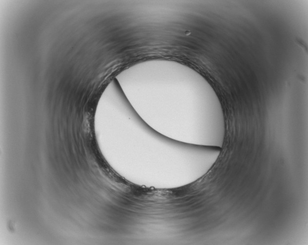 X0000099300128200805301141