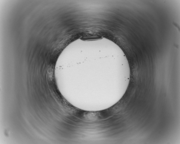 X0000099300129200805301141