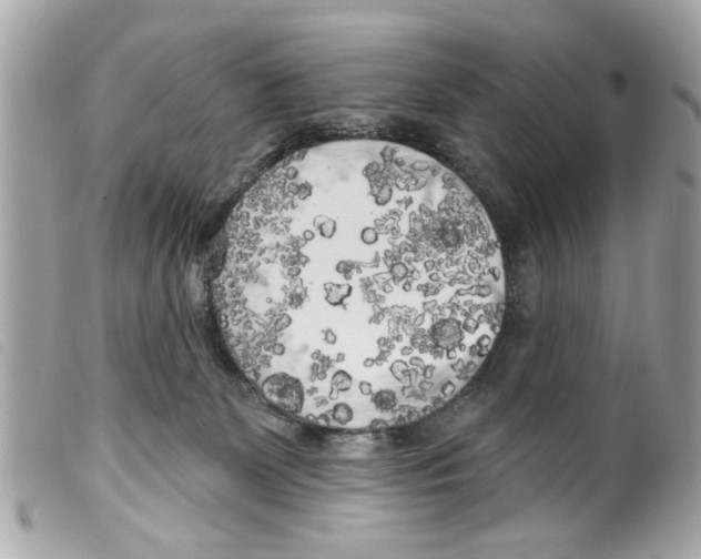 X0000099300131200805301141