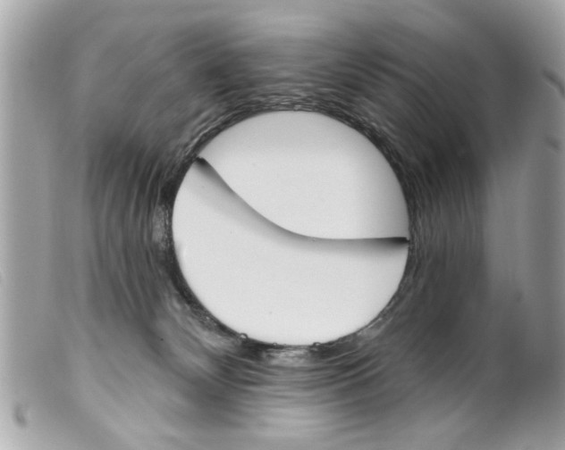 X0000099300132200805301141