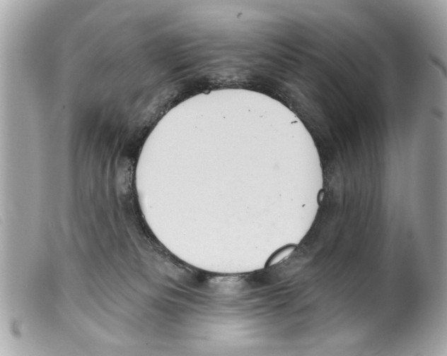 X0000099300133200805301141