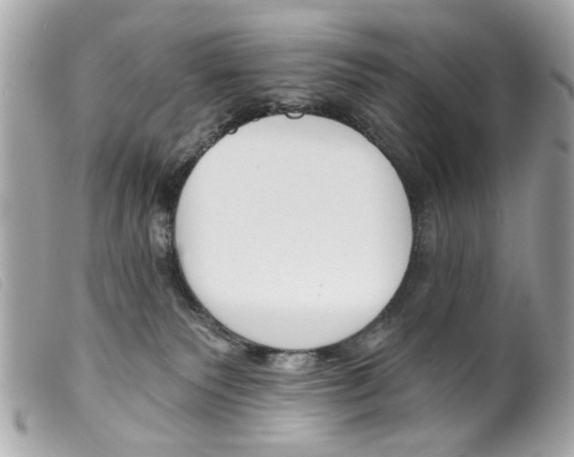 X0000099300135200805301141