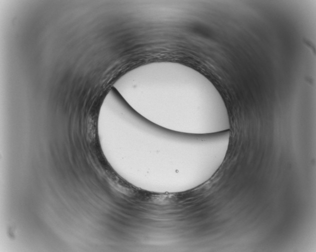 X0000099300136200805301141