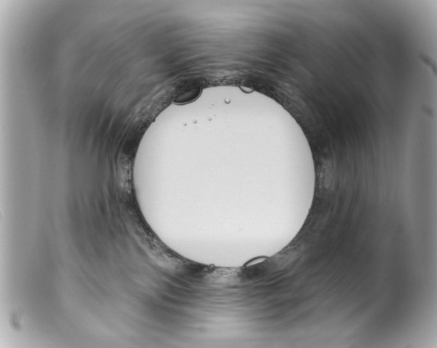 X0000099300138200805301141