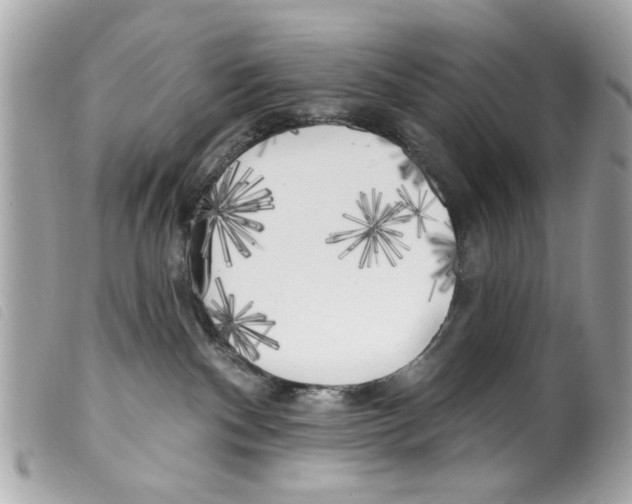 X0000099300140200805301141