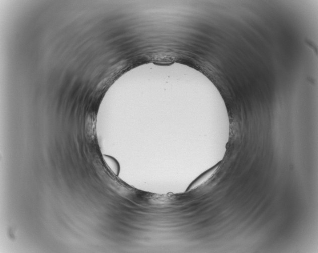 X0000099300142200805301141