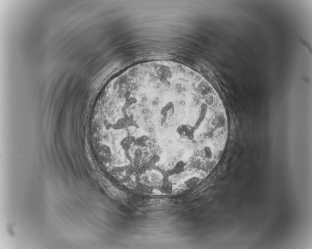 X0000099300145200805301140