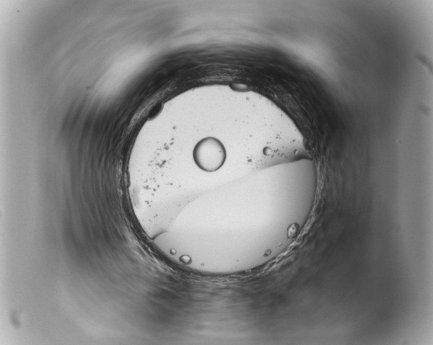 X0000099300146200805301140