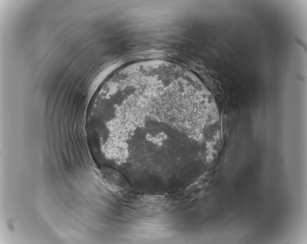 X0000099300147200805301140