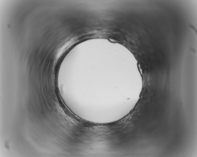X0000099300150200805301140