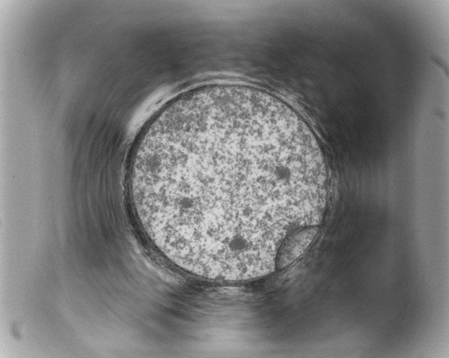 X0000099300151200805301140