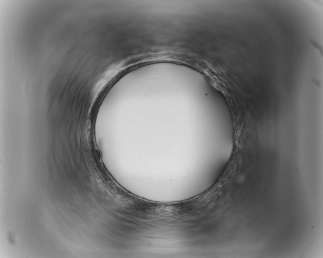 X0000099300152200805301140