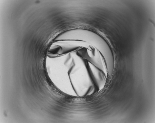 X0000099300154200805301140