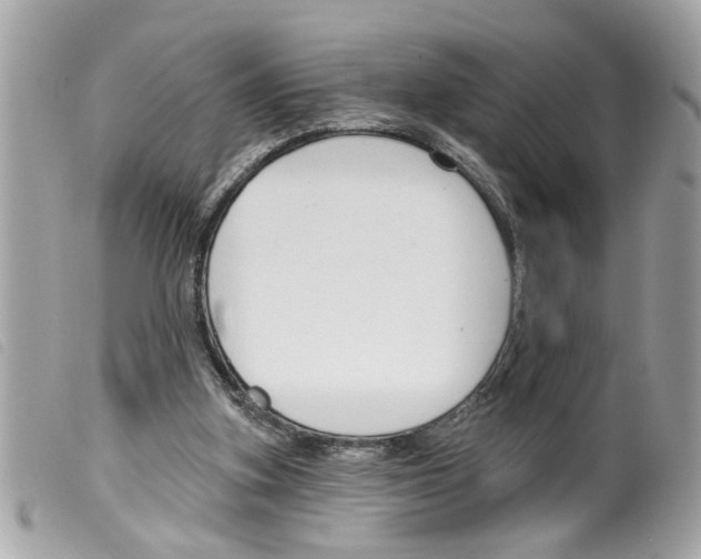 X0000099300155200805301140