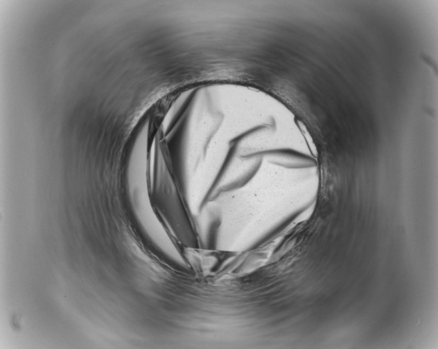 X0000099300156200805301140