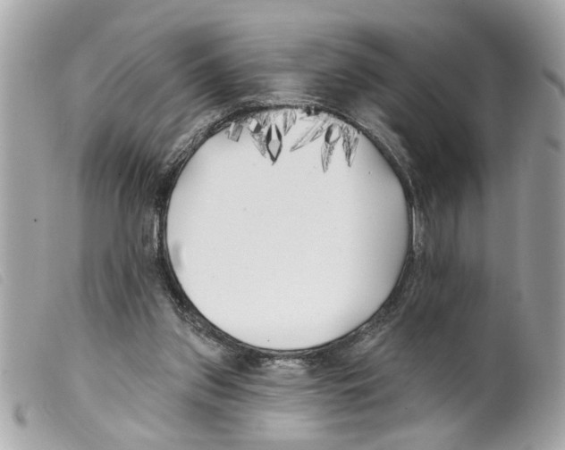 X0000099300157200805301140