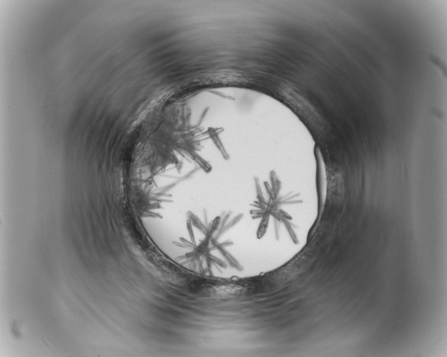 X0000099300158200805301140
