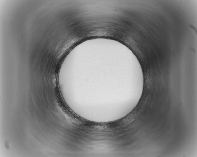 X0000099300160200805301140