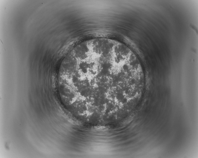 X0000099300161200805301140